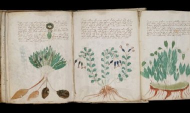 Codul Voynich: Cel mai misterios manuscris din lume