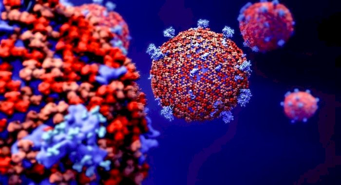 A fost descoperită o enzimă care ajută coronavirusul să păcălească sistemul imunitar