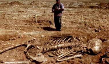 Uriaşii din adâncuri