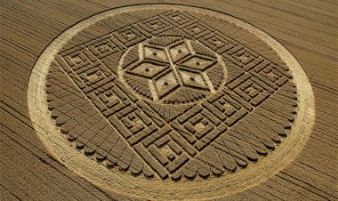 Cercurile din lanuri sunt create de către extratereștri