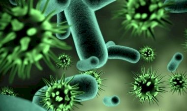 Un om de ştiinţă de la Harvard avertizează: actualul „coronavirus Wuhan” din China are o rată de răspândire extraordinară!