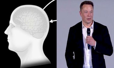 Anunțul surprinzător despre primul proiect care permite comunicarea telepatică între oameni și computere