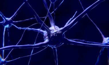 Medicamentele pentru boli autoimune pot fi transformate foarte ușor într-un tratament puternic anti-cancer