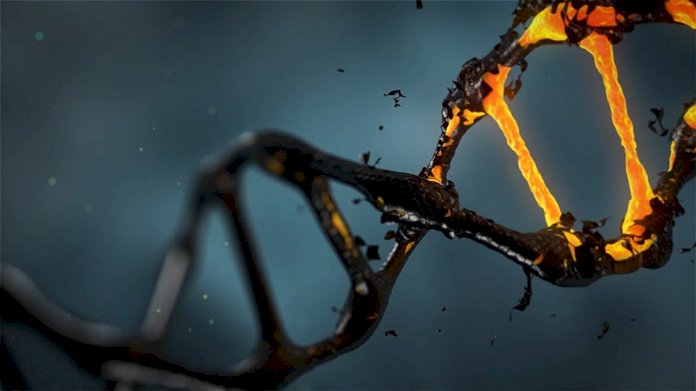Amprenta genetică, semnătura strămoșilor în AND-ul nostru