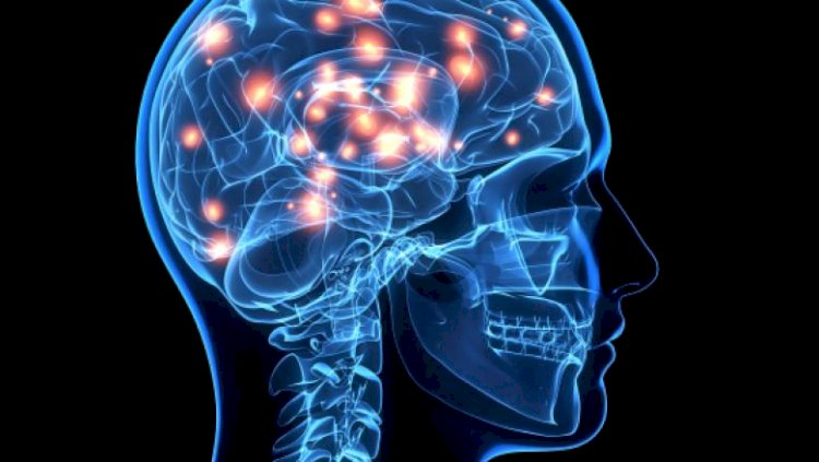 Cum ar putea fi create tratamente revoluționare pentru creier